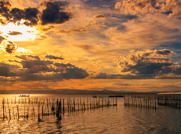 Passió per l'arròs, cuina amb identitat pròpia